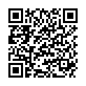QR DIEM LESEBR ROM BRAUN 3.0