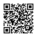 QR DIEM LESEBR TURIN 3.0