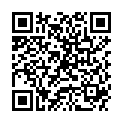 QR DIEM LESEBR TURIN 2.0