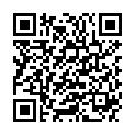 QR DIEM LESEBR IN DEMI 2.0