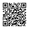 QR DIEM LESEBR IN DEMI 3.0