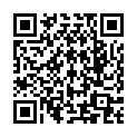 QR Одноразовый катетер SpeediCath Flex CH12 33см в мини-упаковке, 30 шт.