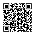 QR Непрозрачный нерастворимый силикон толщиной 0,5 мм 2 шт.