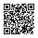 QR Ossenberg Metallstock Schwarz 75-96cm Derby Kari