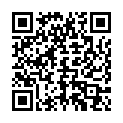 QR SISSEL Securemax Мяч 75см серебро