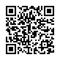 QR Goodness Eisen mit Vitamin C Kapseln 600mg 90 Stück