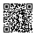 QR Phytomed Ginkgo Biloba Urtinkt Tabletten Mft 100 Stück
