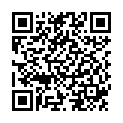 QR Herba Rundbürste ?24/53mm Wildschweinbor Buche Fs