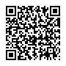 QR Сироп Sonnentor куркума-лимон стеклянная бутылка 500 мл