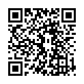 QR WERO SWISS Protect Mask Type IIR мятный