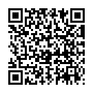 QR Набор кистей для бутылочек Chicco 3в1