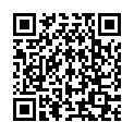 QR Ароматические палочки Faircense Van/Benz/good Lu 10 шт.