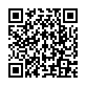 QR Запасные подушечки Farfalla для автомобильных и домашних ароматов.