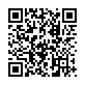 QR ЭНЕРЗАЙР БРИЖАЛЕР Инга 150/50/160мкг