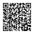 QR NUTRAMINO XL Proteinbar Erdnuss