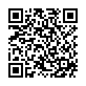 QR QNT Vegan Protein Wafer Hazelnut